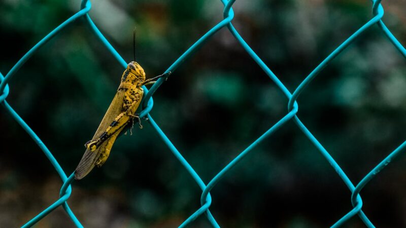 pexels donaldtong94 53040