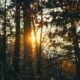 30 patentów na życiowy detoks