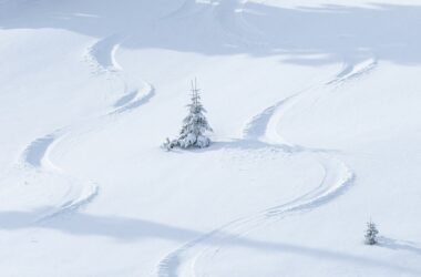 Freeride: poczuj adrenalinę