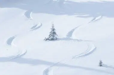 Freeride: poczuj adrenalinę