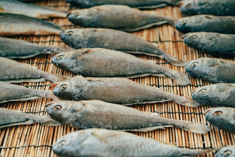 Karp nie tylko od święta 5 Karp nie tylko od święta