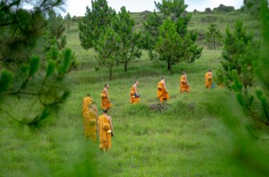 Klasztor Shaolin: gniazdo smoków 2 Klasztor Shaolin: gniazdo smoków
