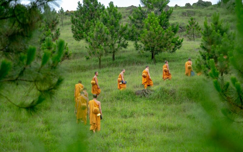 Klasztor Shaolin: gniazdo smoków 11 Klasztor Shaolin: gniazdo smoków