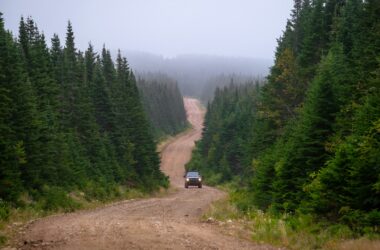 Off-road: kierowca terenowca 11 Off-road: kierowca terenowca