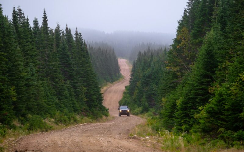 Off-road: kierowca terenowca 5 Off-road: kierowca terenowca