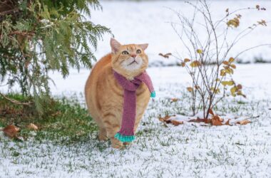 Przebój sezonu zimowego: flanelowe spodnie