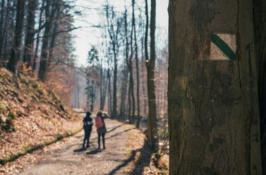 Wielkopolska - wielka historia, wielka przygoda
