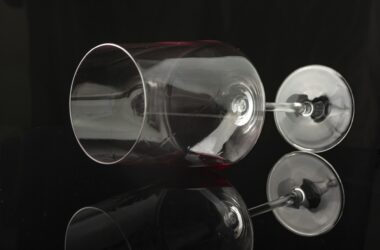 Wino: niezbędnik konesera